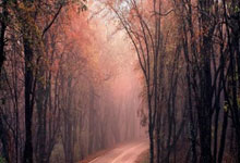 凯恩：为打进在英格兰队的第70球而自豪；祝贺斯凯利首秀破门.