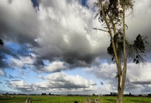 2024-2025吉林国际高山／单板滑雪挑战赛总决赛落幕2025-01-13.