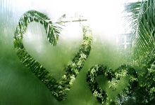 27轮不败！加拉塔萨雷继续领跑土超，多赛两轮领先费内巴切10分.