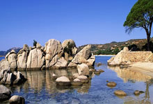 2025年01月12日球会友谊博塔弗戈SPvs蒙蒂阿祖尔历史战绩，交战记录，比分预测.